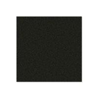 049 GG Панель из березовой фанеры, покрытие ПВХ с пленкой с обеих сторон, черная, толщина 9 мм, размер панели 250 x 125 см