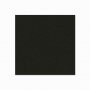0477G Панель из березовой фанеры, покрытие ПВХ с пленкой, черная, толщина 6.9 мм, размер панели 250 x 125 см