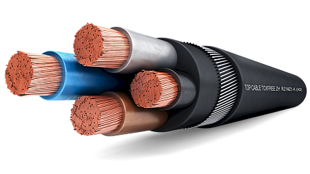 Кабель гибкий TOXFREE ZH RZ1MZ1-K (AS) Top Cable